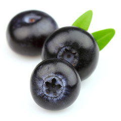 Blueberry in closeup