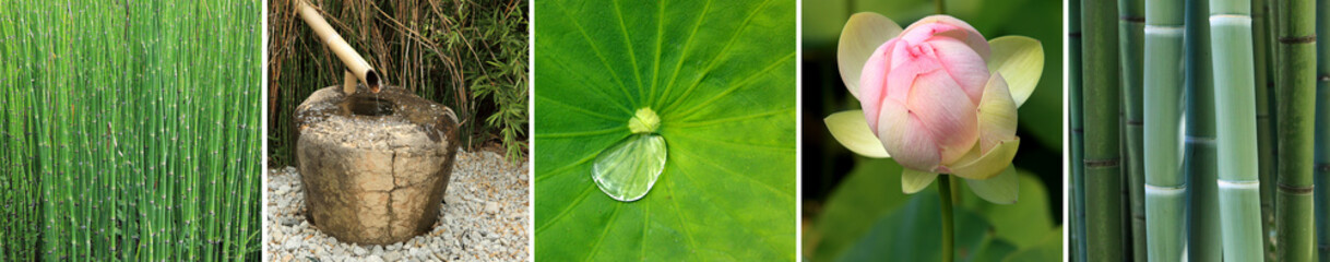 panneau sur le th&egrave;me du jardin aquatique zen