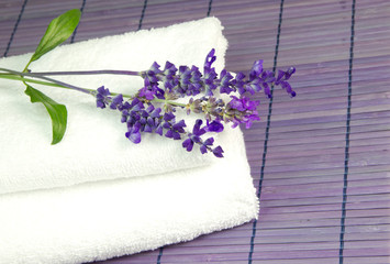 Lavendelblüten mit weißem Handtuch