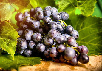 Little girl eating vegetable salad