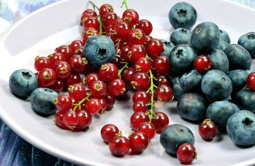 Blueberry and red currant on the plate
