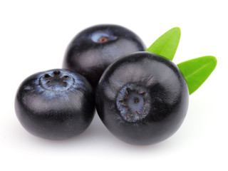 Ripe blueberry