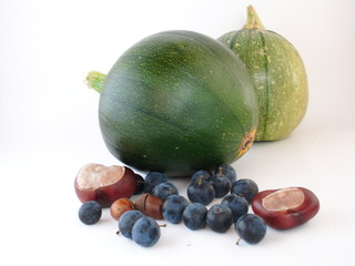 Stilleben Kürbis Schlehen und Nüsse