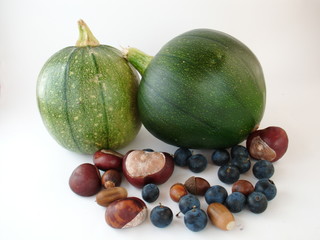 Stilleben Kürbis Schlehen und Nüsse