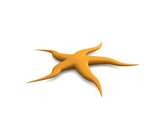 Sea star. 3D render.