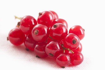 Johannisbeeren