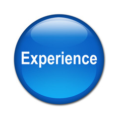 Boton brillante texto Experience