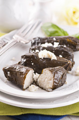 Dolma mit reis und Feta