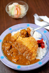 rice with fried pork