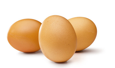brown egg's