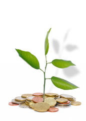 Faire fructifier son argent.