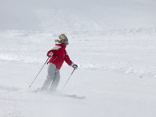 Skier