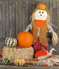 Fototapeta premium Fall Harvest