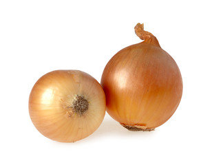 Onion isolated