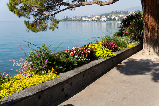 Montreux, Promenade mit Blumen