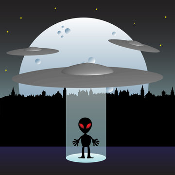 The visitor