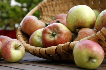 Plentiful harvest