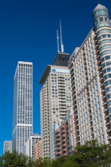 Fototapeta na wymiar Skyscrapers of the city of Chicago