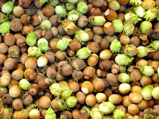 Noisettes
