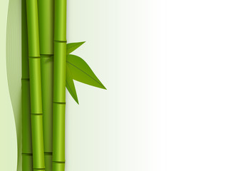 bamboo background with empty space on the right