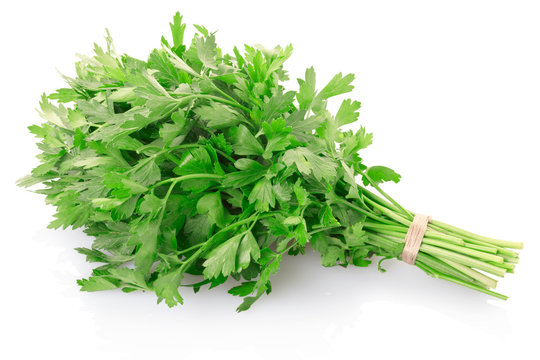 Parsley leaves bunch on white with clipping path