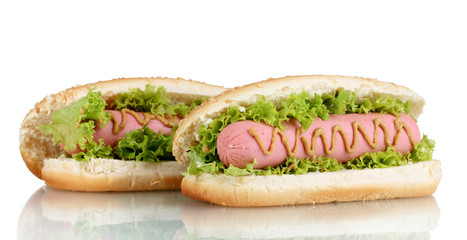 Delicious hot dog with mustard and lettuce isolated on white