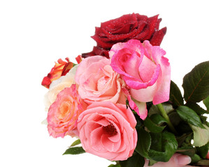 Bouquet of beautiful roses isolated on white