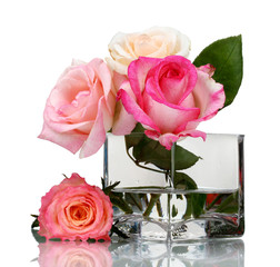 Beautiful roses in transparent vase isolated on white