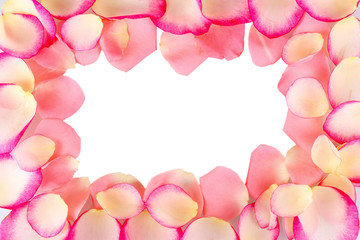 Obraz na płótnie Canvas Pink rose petals isolated on white