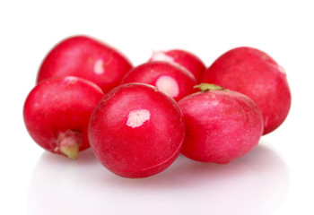 Fresh radish isolated on white