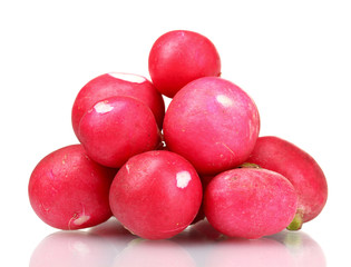 Fresh radish isolated on white