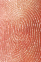 fingerprint