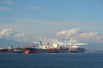 Deltaport and Coal Terminal, Delta, British Columbia