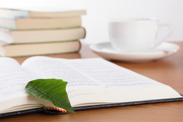 Cup book and plant on wooden table