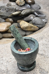 Mortar and Pestle Holistic Treatment