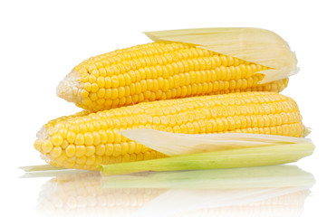 Fresh corn