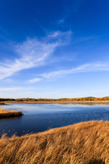 lake and wetland at autumn