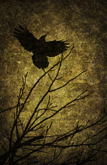 Grunge textured Halloween night background © tigger11th