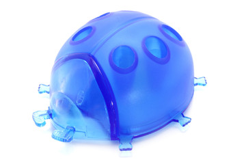 Fototapeta premium Lady bird pencil sharpener on a white background