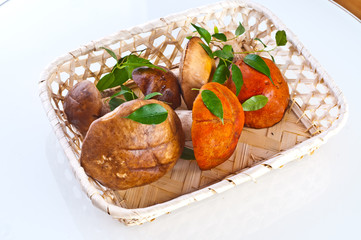 Summer Cep Mushrooms (Boletus reticulatus)
