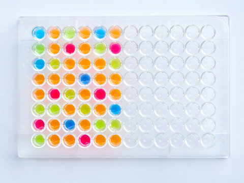 96 well plate with solution