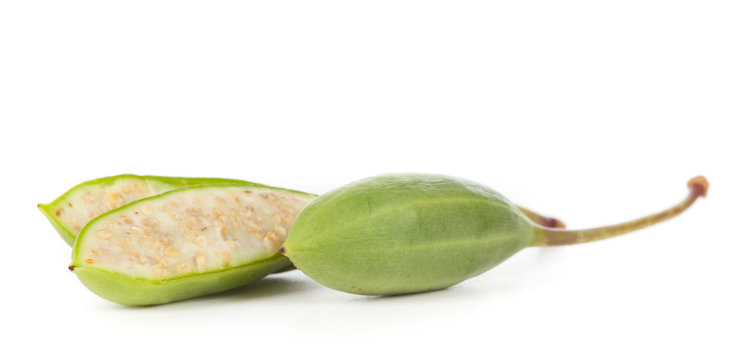 Capperi