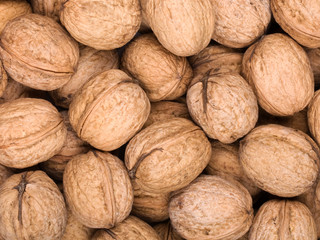 Walnut background. Studio macro