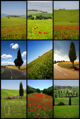 tuscany landscapes, composit