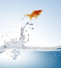 goldfish jumping