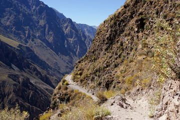 Colca canion