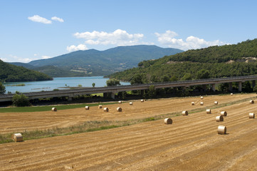 Landscape with highway near Arezzo (Tuscany, Italy) at summer