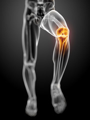 3d rendered anatomy illustration - painful knee