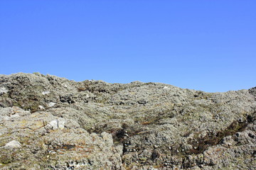 rochers,et bigorneaux &agrave; d&eacute;couvert