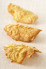 Tuiles aux amandes